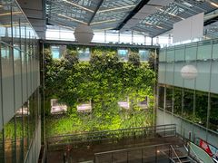 -西沃古尔·拉姆古兰爵士国际机场