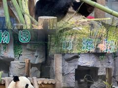 -栾川竹海野生动物园