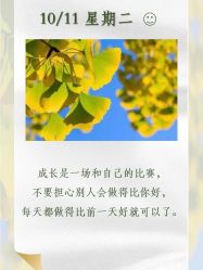 -Oasis Beauty水磨坊科技美肤中心