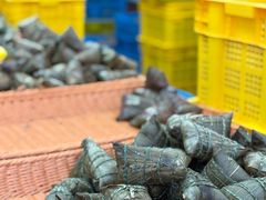 -召稼楼永茂昌粽子大王