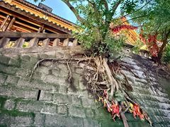 -重庆十八梯传统风貌区