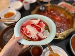精品黄喉-蜀九香火锅(彩虹店)