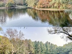 -上海共青森林公园