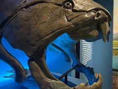 -湖南省地质博物馆