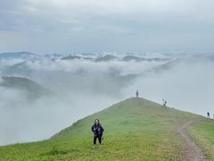-空中草原