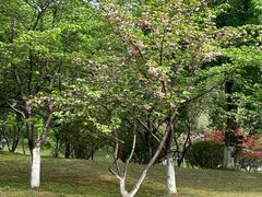 -堤角公园