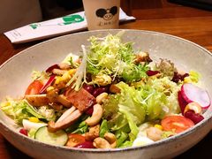 -树熊(三川店)