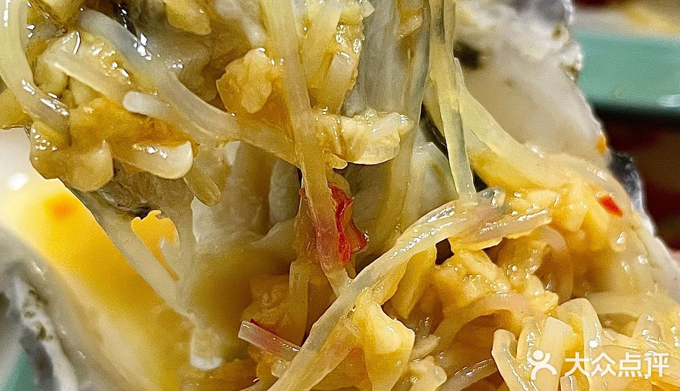 现在青岛的海蛎子🦪这么肥吗⁉️开了8年的啤酒屋