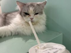 -怪兽屋·羊驼·猫咖·狗咖(俊华广场店)