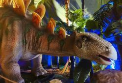 -恐龙探索乐园(磁器口店)