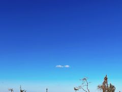 -长兴岛海滨公园