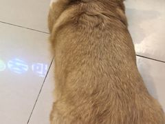 -平行世界·猫咖(首经贸店)