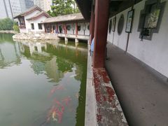 -团结湖公园
