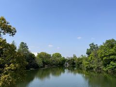 -桃花岛景观公园