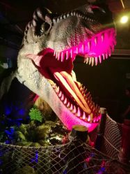 -恐龙探索乐园(磁器口店)