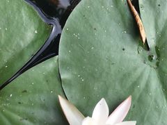 -龚家花园农家乐休闲别墅