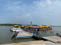 -溱湖国家湿地公园