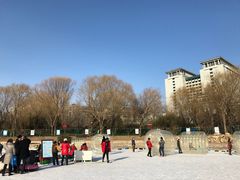 -紫竹院公园冰场