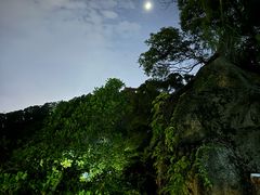 -金鸡山公园