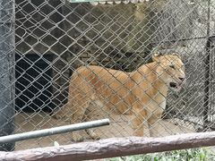 -海南热带野生动植物园