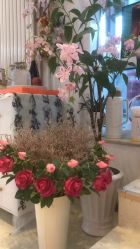 -黎蓓露·徒手骨雕蛋白抗衰·调肤管理