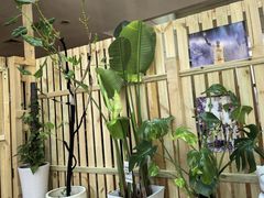 -丰茂烤串(五道口店)