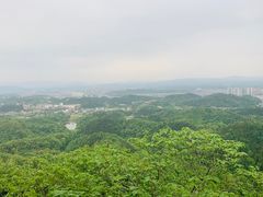 -云碧峰国家森林公园