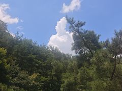 -无染寺