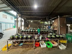 -红旗山庄(圭峰山店)