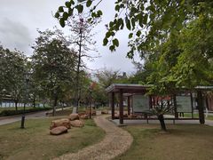 -长洲岛