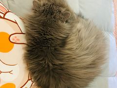 -小时光咖啡馆(开森度假森林店)