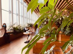 -Seesaw Coffee(朝阳大悦城店)