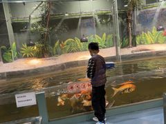 -上海大自然野生昆虫馆(东方明珠·爬宠昆虫探索中心)