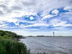 -上海吴淞炮台湾国家湿地公园
