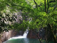 -花岩国家森林公园