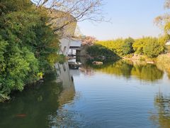 -新江湾城公园