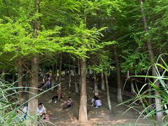 -金海湾滨江公园