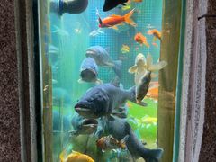 -又见炊烟私房菜(敬亭路店)