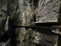 -武陵山森林公园