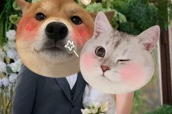 -北遇映画PHOTO GRAPHY STUDIO