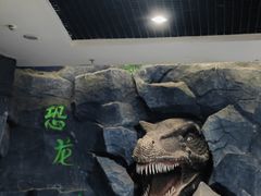 -吉林省自然博物馆