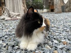 -小时光咖啡馆(开森度假森林店)