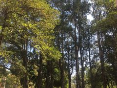 -广东外语外贸大学(白云山校区)