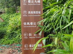 -缙云山景区