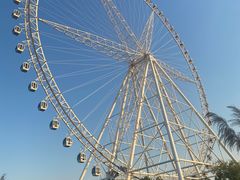 -祥源·阜阳生态乐园