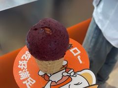 -极拉图·现制冰淇淋(大卫城店)