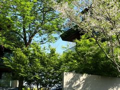 -木守西溪溪隐餐厅