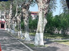 -四川大学(望江校区)