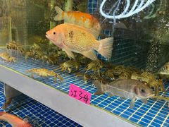 -蚝美人·生蚝海鲜烧烤(茶花园店)