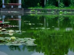 -国家植物园南园